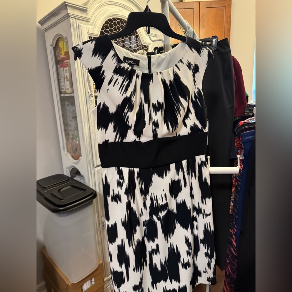Alyx Black and White Women's Dress